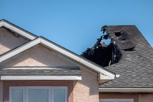 Top rated local Board Up Services specialists in Scandia, MN